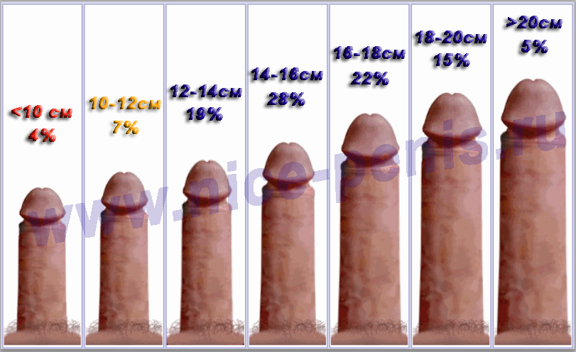 Solution Of Penis Erection Problem In Islam.