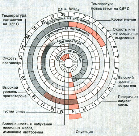 18 какой день