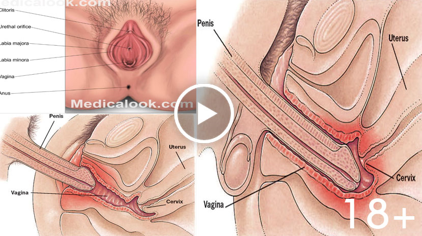 Guy Puts Head In Girls Vagina.