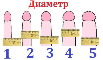 Секс 14 Сантиметров Секс 14 Сантиметров
